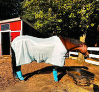 Breeches.com TuffRider Comfy MESH Fly Sheet Review