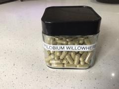 Mudbrick Herb Cottage Epilobium Review