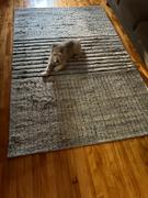 Quince Troy Hand-Knotted Wool Rug Review