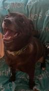 Highway 3 PERSONALIZED PET NAME BLANKET - LIGHT (ALL COLOR OPTIONS) Review
