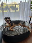 Ambient Lounge Chile Conjunto de Cama Mediana para Perros (Cappuccino) y Cubierta (Cappuccino) Review