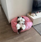 Ambient Lounge Chile Cama Pequeña de Lujo para Perro (Original) Review