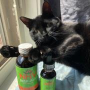NHV Natural Pet Ey Eas for cats Review