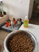 NHV Natural Pet Petomega 3 for dogs Review