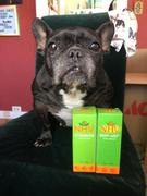 NHV Natural Pet Resp-Aid™ for dogs Review