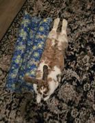 NHV Natural Pet ES Clear™ for Rabbits Review