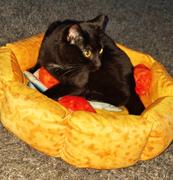 Meowingtons  Cute Pizza Cat Bed Review