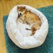 petslovescruffs Ellen Donut Bed - Tan Review