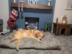 petslovescruffs Oxford Orthopaedic Mattress - Silver Review