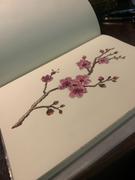 Bunbougu.com.au Midori MD Notebook - Plain - A5 Review