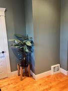 Jacob Owens Designs Four Room Package Review