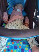 CuddleCo Comfi-Cush Memory Foam Stroller & Pram Liner - Spot the Dot Review