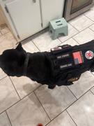 USA Service Animal Registration Heavy Duty Tactical Dog Vest & Leash Review