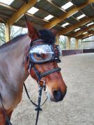 Equidiva Pack eVysor + equidiva Premium-Maske mit Ohrenklappen Review