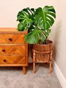 Kalinko Tedim Planter Stand Review