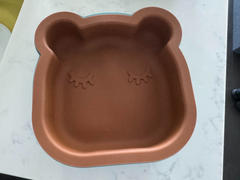 We Might Be Tiny Bear Cake Mould Review