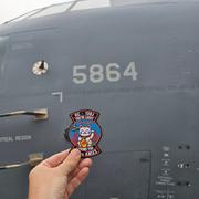 303rd TAC Fighter Squadron パッチ フレーム付き USAF 303RD FIGHTER SQUADRON -303 FS- KC HAWGS -Whiteman AFB