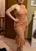 JAUS Sonia Dress - Blush Review