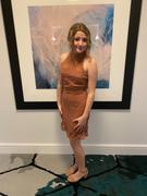 JAUS Rivers Dress - Mauve Review