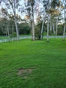 OUTBACK FENCING PVC 3 RAIL FENCING 2 Way Post (Inline Post) - 2050mm long 127 x 127mm square. With Slimline Post Cap Review