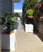 OUTBACK FENCING PVC Planter Box Premium Small In White - 505mm long x 505mm wide - 500mm high Review