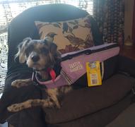 Freak Sports Australia Water Woofer DFD Dog Life Jacket Lilac Review