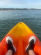 Freak Sports Australia Freak Wet Sneakers Neoprene Aqua Shoe Review