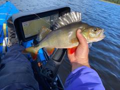 Freak Sports Australia BerleyPro Garmin SideVu Ready Transducer Mount (Suits Hobie) Review