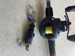 Freak Sports Australia Chasebaits Drunken Mullet Surface Lure Review