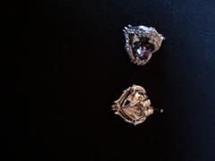 ANN VOYAGE Positano Earrings Review