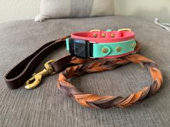 Sexy Beast Dog Collars Double Braided Bullhide Leash Review