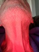 Particle Particle Neck Cream Review