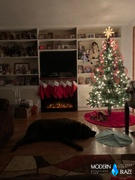 Modern Blaze Touchstone Sideline 36-Inch Recessed Smart Electric Fireplace (#80014) Review