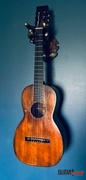 GuitarGrip Jerry Garcia w/ Ornate Plate Guitar Hanger Review
