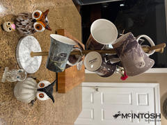 McIntosh Mugs Owls set of 4 Mugs Review