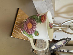 McIntosh Mugs Botanical Flowers Michaelmas Daisy Java Mug Review