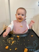 nibbleandrest Silicone bib by Nibble and Rest Review