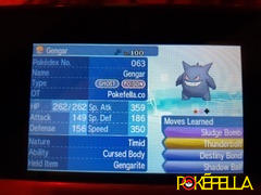 Pokéfella All 50 Mega Evolution Pokemon • Shiny, 6IVs, Battle-ready, Level 100 Review