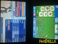 Pokéfella All 50 Mega Evolution Pokemon • Shiny, 6IVs, Battle-ready, Level 100 Review
