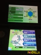 Pokéfella All 50 Mega Evolution Pokemon • Shiny, 6IVs, Battle-ready, Level 100 Review