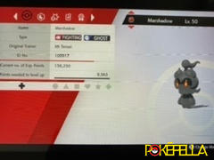 Pokéfella Mount Tensei Marshadow • OT: MT. Tensei, Mt Tensei, Mt. Tensei, M. del Passo • ID No. 100917 • 2017, 2018 Event Review