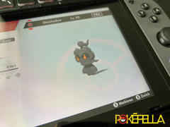 Pokéfella Mount Tensei Marshadow • OT: MT. Tensei, Mt Tensei, Mt. Tensei, M. del Passo • ID No. 100917 • 2017, 2018 Event Review