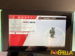 Pokéfella Mount Tensei Marshadow • OT: MT. Tensei, Mt Tensei, Mt. Tensei, M. del Passo • ID No. 100917 • 2017, 2018 Event Review