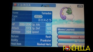 Pokéfella Tornadus & Thundurus • Milos Island Pokémon • OT: ミロスとう • ID No. 12161 • 2011 Japan Event Review