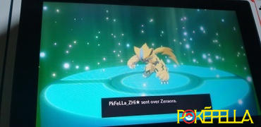 Pokéfella Zeraora • Competitive • 6IVs • Level 100 • Online Battle-ready Review