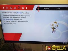 Pokéfella Ultra Shiny Poipole • OT: Ultra • ID No. 091718 • North America, Europe 2018 Event Review