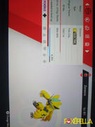 Pokéfella Zeraora • OT: Fula City, Fula, Eolipoli, Mistral • ID No. 100118 • Europe, North America 2018, 2019 Event Review
