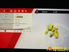 Pokéfella Zeraora • OT: Fula City, Fula, Eolipoli, Mistral • ID No. 100118 • Europe, North America 2018, 2019 Event Review