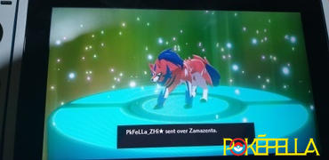 Pokéfella Ultra Shiny Poipole • OT: ウルトラ • ID No. 180302 • Japan 2018 Event Review