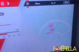 Pokéfella Poké Ball Plus Mew • Pokémon Let's Go, Pikachu & Eevee!, Sword & Shield Gift Review